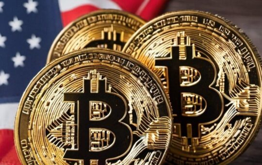 Study: 60% of US Crypto Investors Don’t Understand Blockchain
