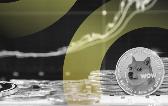 Dogecoin Rises 20% as Treasury Firm Amasses DOGE, ETF Nears Launch